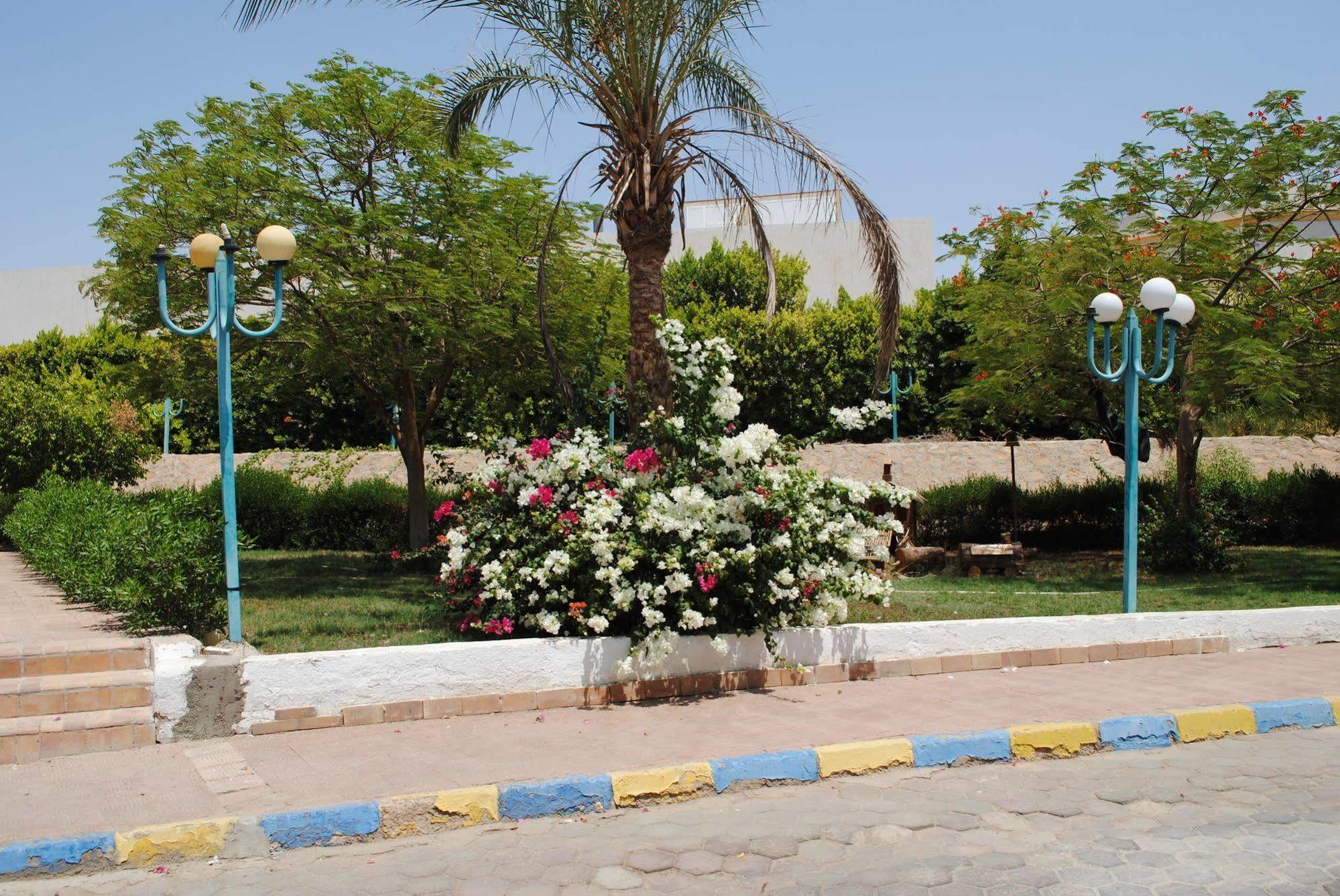 Sharm Cliff Resort Exteriér fotografie